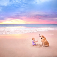 Loyal Friend