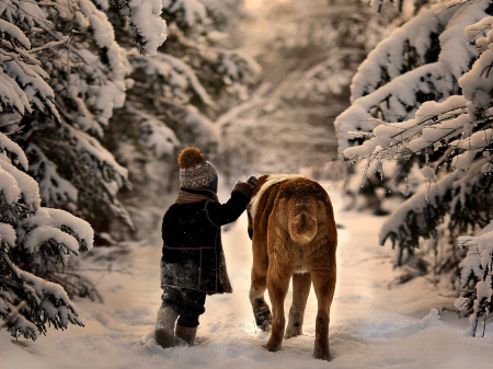 Winter Walk - beauty, trees, winter, child, nature, forest, winter time, woods, boy, dog, snow, beautiful, splendor, friends, sweet, snowy