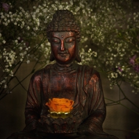 The Buddha