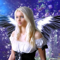 ~Angel of the Night~