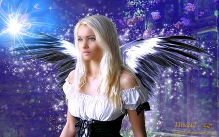 ~Angel of the Night~ - people, angels, creative pre-made, sparkles, photomanipulation, beautiful girls, angel of the night, softness beauty, digital art, weird things people wear, girls, fantasy, lady, wings, models female, background, love four seasons