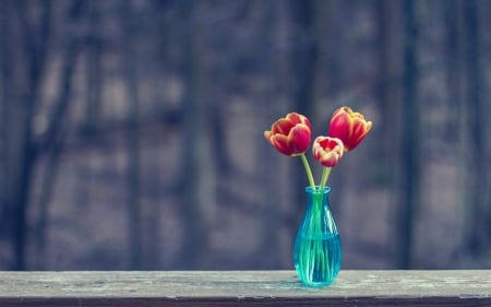 Tulips - blue vase, tulips, flowers, tulip, vase, flower