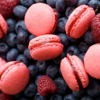 Macarons and Berries