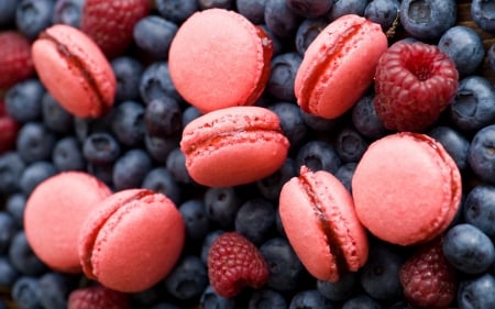 Macarons and Berries - blueberries, berry, pink, raspberries, berries, macaron, raspberry, cookies, macarons, blueberry