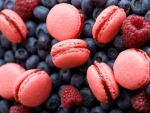 Macarons and Berries