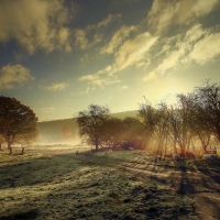 sheep along a road in magical countryside