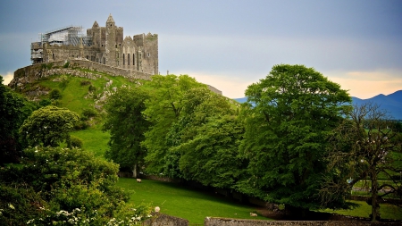 rock of cashel in ireland - sheep, hill, construction, trees, ruins, castle