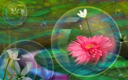 Beautiful flower - bubbles, flower, art, design