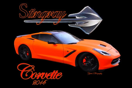 CORVETTE STINGRAY 2014 - CHEVROLET, CORVETTE, STINGRAY, 2014