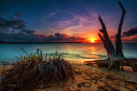 Lake sunset - beach, lake, sky, shore, sunset, lovely, serenity, calm, nature, glow, reflection, beautiful