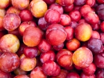 Plums