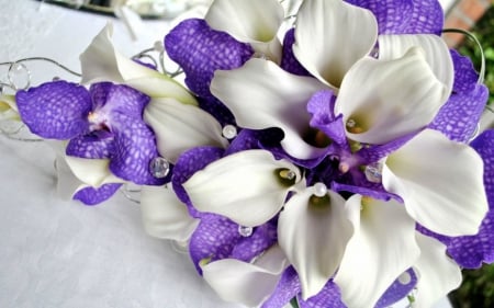 White and purple - white, purple, bloom, petals, flowers