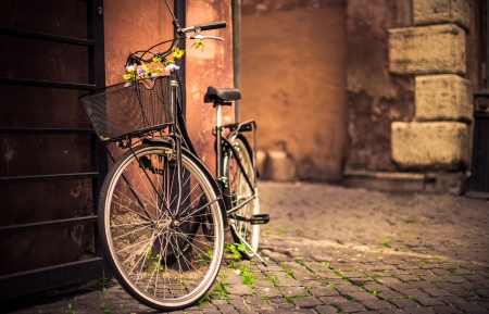 Beautiful... - flowers, bike, street, pretty, nature, alley, beautiful, beauty