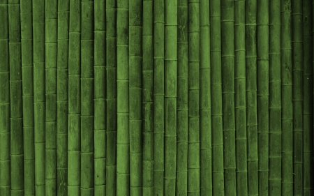 Bamboo - green, stripe, texture, bamboo