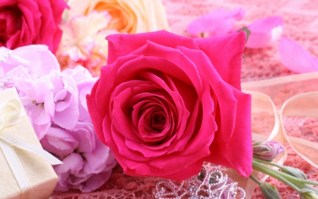 Pink rose - flowers, pink, rose, bloom