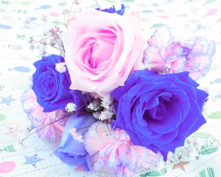 Beautiful roses - flowers, petals, rose, bloom