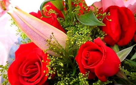 Red roses - flowers, roses, petals, red