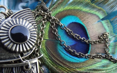 Owl pendant and peacock feather - feather, silver, chain, owl, jewel, blue, peacock, pendant, green