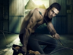 Stephen Amell as Oliver Queen