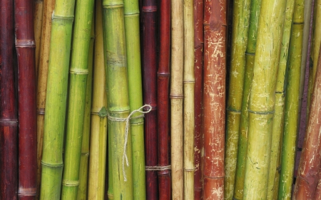 Bamboo - red, green, bamboo, texture, stripe