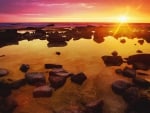 rocky beach at a bright sunrise