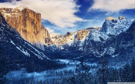 Yellowstone National Park. - fun, nature, forest, mountains, cool