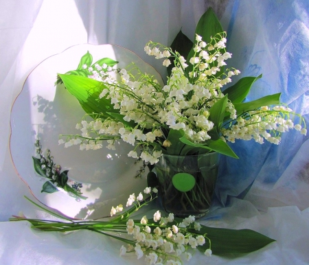 Lilies of the valley - nature, arrangement, delicate, lilies of the valley, flowers, still life, spring, vase