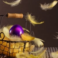 Easter Basket of Feathers