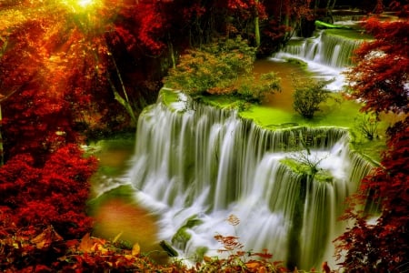 AUTUMN FOREST FALLS - forest, nature, autumn, falls