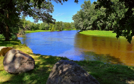 Summer - nature, summer, tree, river