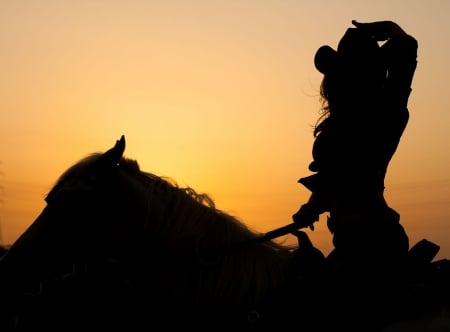 Cowgirl Silhouette - silhouette, horse, hat, cowgirl, sunset