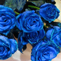 Glitter Blue Roses