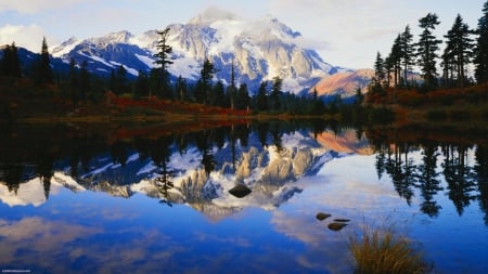 Spring Reflections - mount rainier, water, mountain, reflection