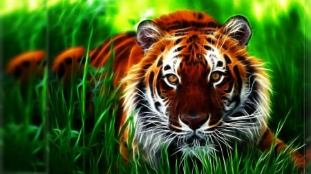 Fractal tiger - feline, fractal, predator, tiger