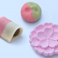 Sakura Spring Themed Wagashi Traditional Japanese Sweets