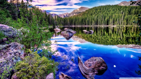 Beautiful Forest Reflection - clouds, forest, reflection, tree, blu, river, plants, lake, reflectoin, mountains, sky, animals, rocks