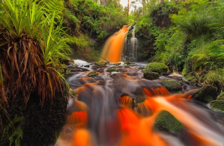 Forest waterfall - forest, fall, greenery, beautiful, waterfall, grass, trees, nature, cascades