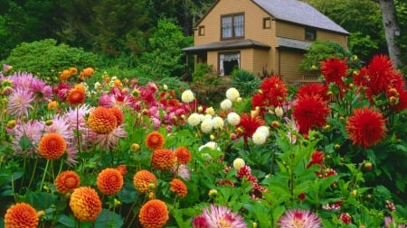 House in spring - freshness, trees, paradise, greenery, colorful, countryside, spring, home, forest, pretty, beautiful, house, flowers, garden