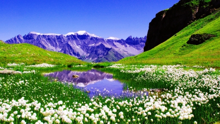 Landscape with mountain and lake - sky, meadow, rocks, pretty, reflection, grass, snowy, cliffs, lake, landscape, mountain, hills, lovely, peak, beautiful, flowers, wildflowers