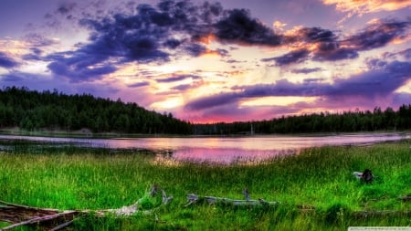 Morning Sky - nature, lak, morning, forest, reflection, sky