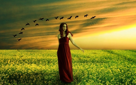 Girl in fields - nature, sunset, field, grass, birds