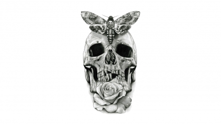 Skull - cg, butterfly, fantasy, skull