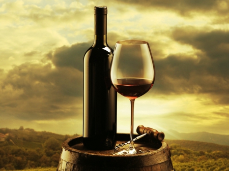 a glass of wine - wine, dark, sky, glass