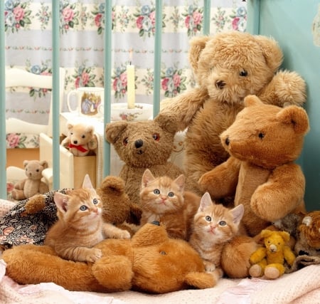 ginger kittens and teddy bears