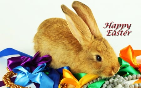 Happy Easter - rabbit, decoration, bunny, festive