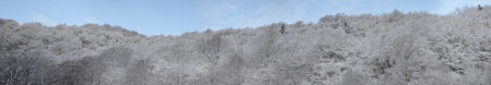 spring snow - sky, forest, trees, snow