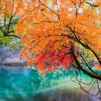 Autumn Lake, Juizhaigou National Park