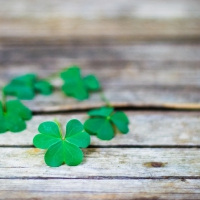 St. Patrick's Day