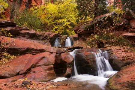 Broken Waterfalls, Utah - autumn, trees, canyon, beautiful, leaves, foliage, rocks, creek