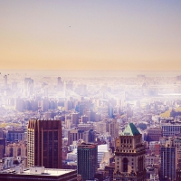 pigeons flying over a hazy new york city